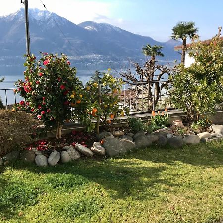 Camera Con Bagno Privato E Giardino Brione sopra Minusio Eksteriør billede
